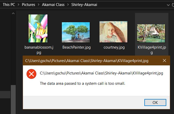 Data area too small. JPGs won't open-problem-opening..jpg