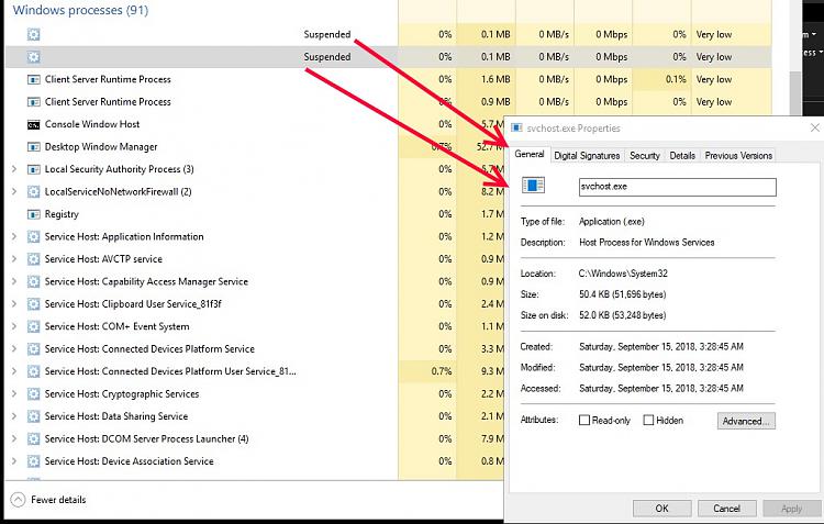 Can someone help me identify these two &quot;rogue&quot;/blank system processes-svc-host-blank-name.jpg