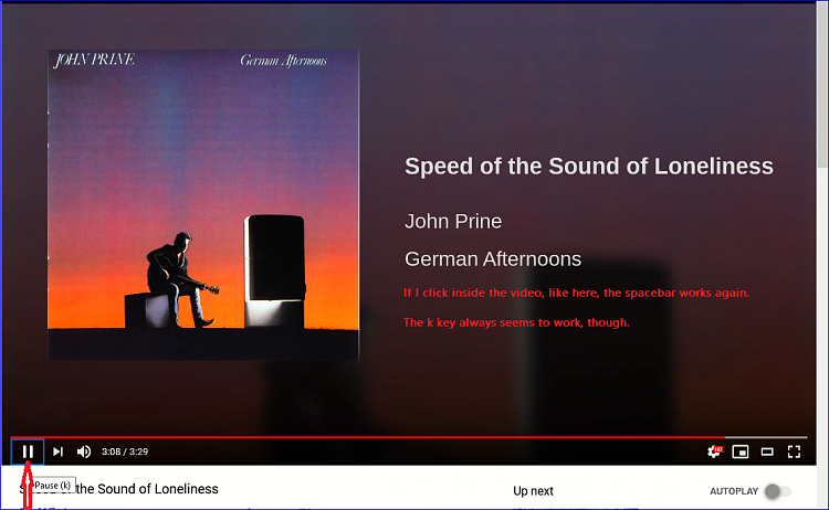 Lately my spacebars  don't start and stop net videos properly-spacebar.png