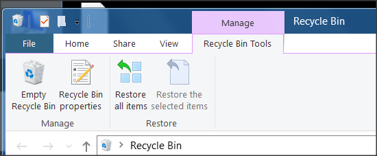 Recycling Bin controls are missing from Windows Explorer-snap-2019-05-12-05.47.50.png
