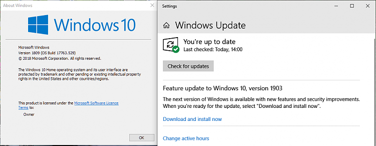 Is W10 1903 stable enough to replace 1809?-1809-home-features-update-1903-available.png