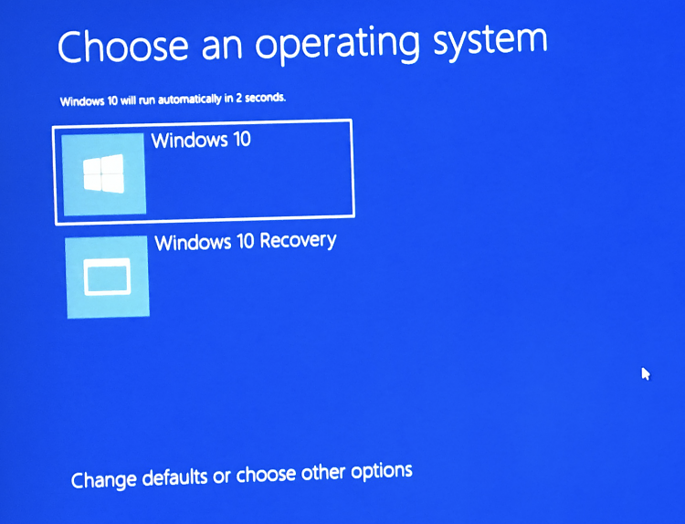 Opening Screen &quot;Windows 10&quot; and &quot;Windows 10 Recovery&quot;?-win10.png