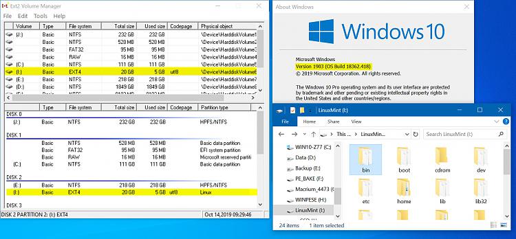 Windows 10 EXT2/3/4 support - PROBLEMS-2019-10-14_092956.jpg