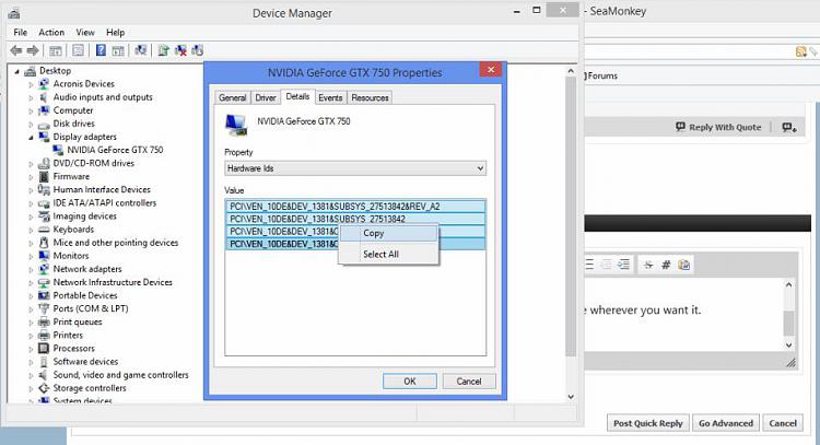 Device Manager - Copy and Paste Information-devdet.jpg