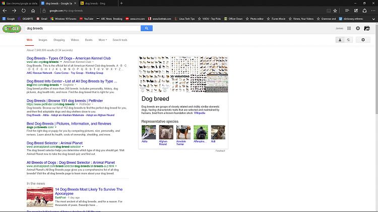 Use chrome/google as default for search results-screenshot-7-.png