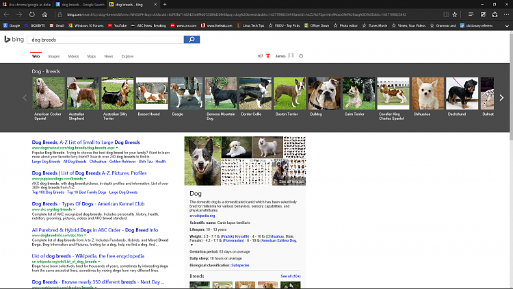 Use chrome/google as default for search results-screenshot-5-.png