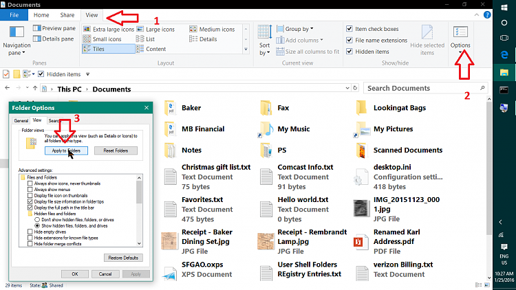 View in &quot;Downloads&quot; folder in windows explorer-apply-folders.png