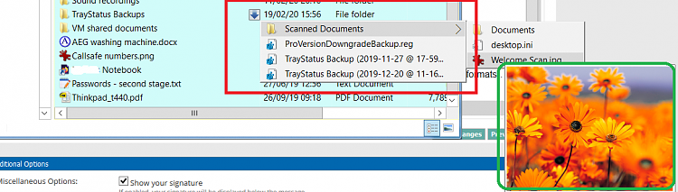 Is there a way to place the preview pane inside the file explorer pane-untitled.png