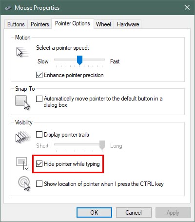 windows arrow cursor is hidden-hidepointerwhiletyping.jpg