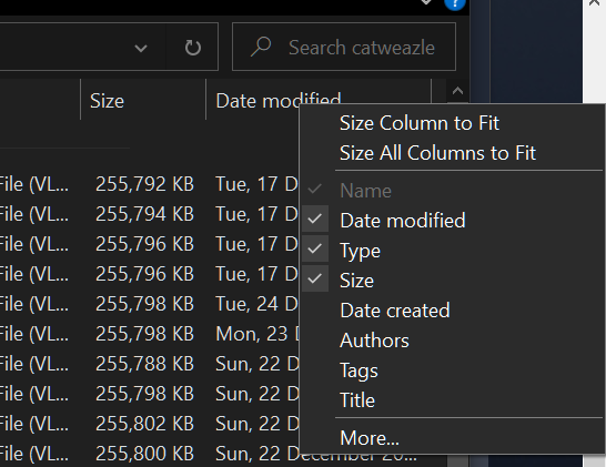 Win Explorer Slowing down with Date/Length Columns-image.png