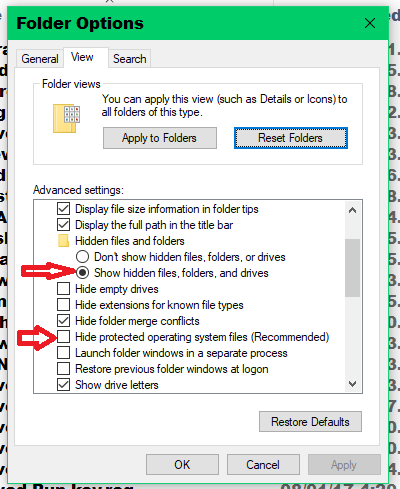 Rogue Folder Overriding File Character Limit And Changing File Names-show-hidden-system.png