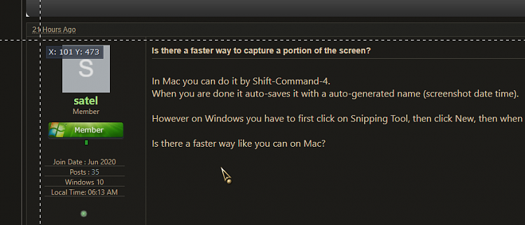 Is there a faster way to capture a portion of the screen?-bee.png
