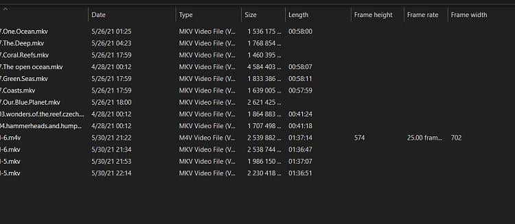 mkv file details (frame rate height width etc)-clipboard01.jpg
