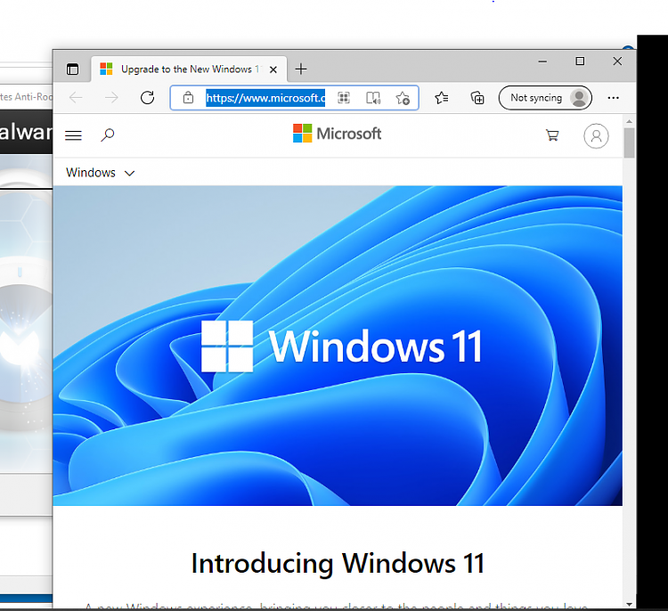 Windows 11??-capture.png