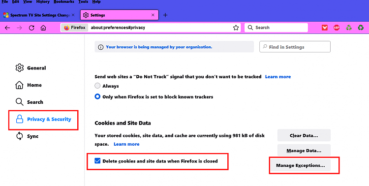 Spectrum TV Site Settings Change After Booting Up-settings-mozilla-firefox.png