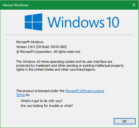 Incorrect detection of Windows 10 Home Edition as Server Edition-winver-ownerkeyv3.png