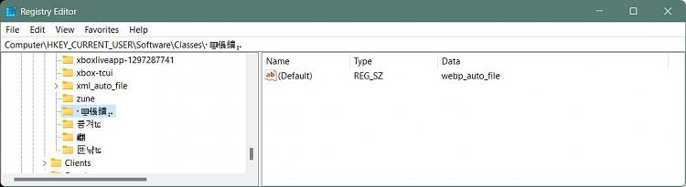 Oddly named entries under Computer\HKEY_CURRENT_USER\SOFTWARE\Classes\-chinesecharactersregfile03.jpg