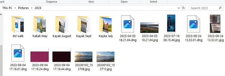 DNG files not displaying thumbnail-contents-2.jpg