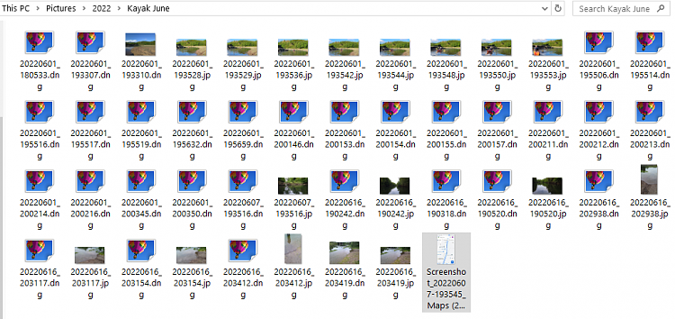 DNG files not displaying thumbnail-screenshot-2024-02-07-115102.png