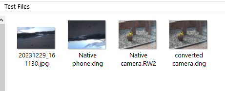 DNG files not displaying thumbnail-files-desktop.png