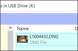 DNG files not displaying thumbnail-1.jpg