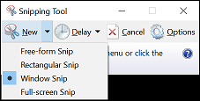 Group Policy service-snipping-tool.png
