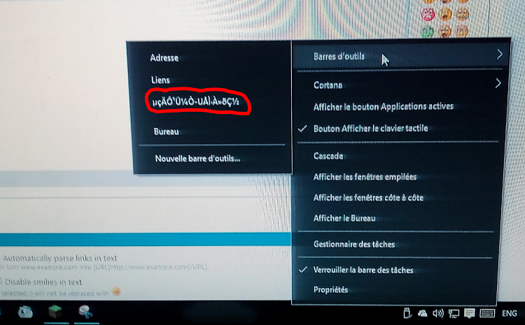 Weird Text in Taskbar options menu-capture.png