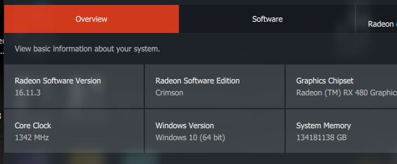 Latest AMD Radeon Graphics Driver for Windows 10-memory_bug.jpg