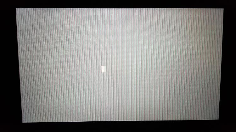 White screen with vertical lines after sleep mode-2957joy.jpg
