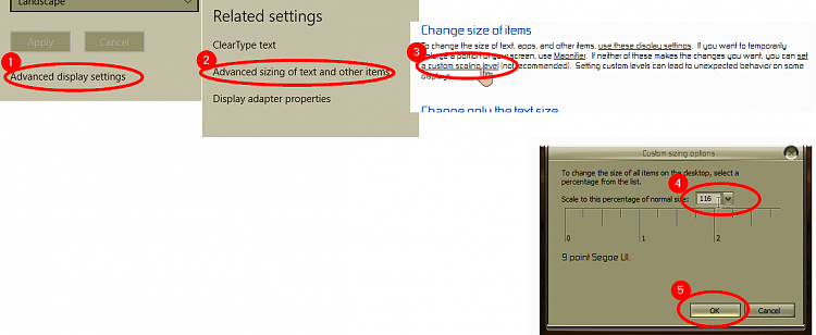 How to set Display size to 116% rather than 100% or 125%-000240.png