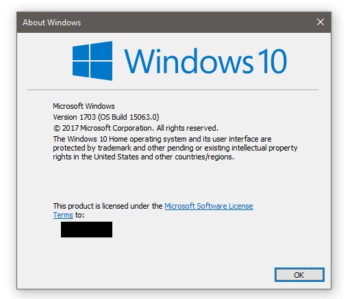 I Just Installed Win 10 (Home and Pro) 15063 Final Release (Leaked)-winver1.jpg