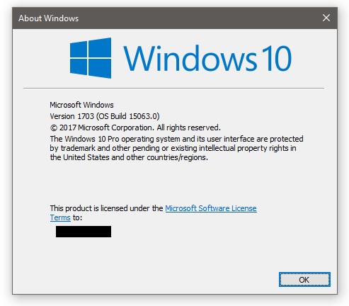 I Just Installed Win 10 (Home and Pro) 15063 Final Release (Leaked)-winver2.jpg