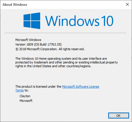Windows 10 Update 1809 Issue-winvern.png