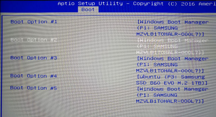 bcdedit and BIOS disk order, how do I setup multibooting?-image.png