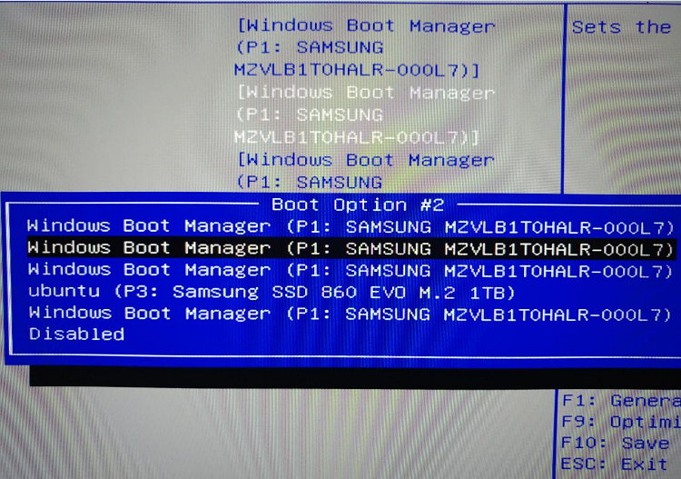 bcdedit and BIOS disk order, how do I setup multibooting?-image.png