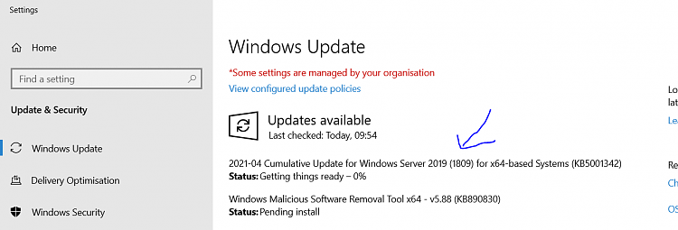 Windows 2019 server users - any later version than 1809-w21.png