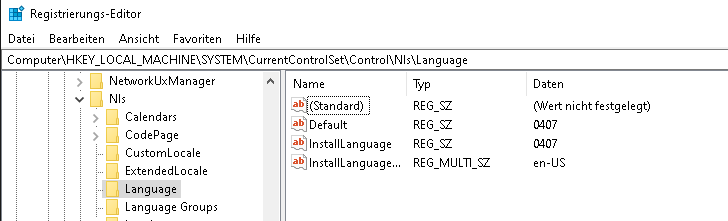 Windows 10 20H2 .appx UI language pack problem-reg.png