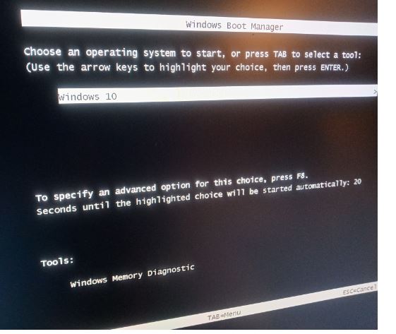 Install second os on a blank internal hard drive using UEFI-boot-manager-2.jpg