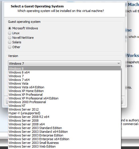 Vmware - anybody got W10 to install and work properly-vm2.jpg