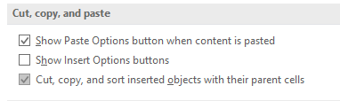 Show Paste Options Button In Excel 2016-excel-paste-option.png