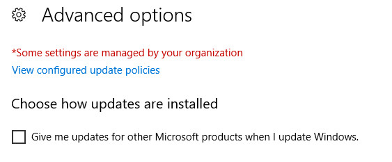 Stop Office updates-update-advanced-options.jpg