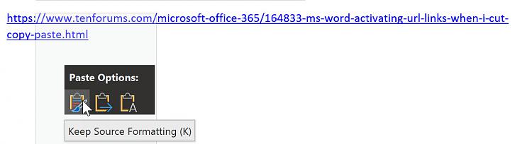 MS Word Activating URL LINKS when I Cut - Copy and Paste-image1.jpg
