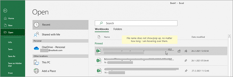 Excel - File open - hover over files - file names do not show up-snagit-28022021-060241.png