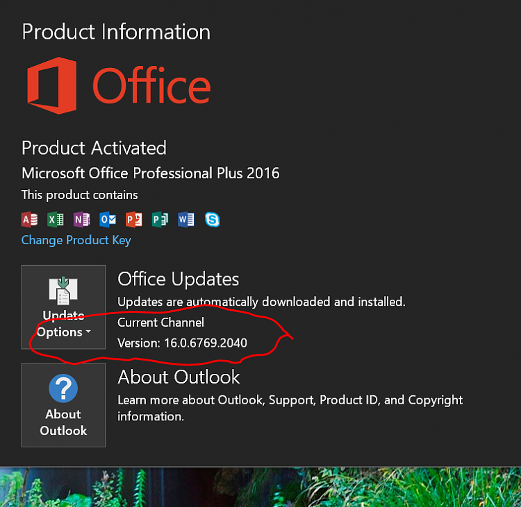 Info needed - What's the current version of Office 2016 / 365-office2016.png