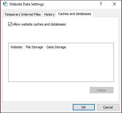 internet options-websitedatasetting.jpg