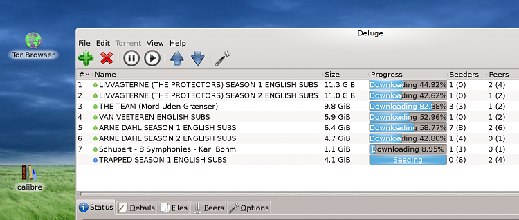 BitTorrent: How To Keep Record Information of Downloaded Torrents?-snapshot4.png