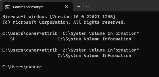 Cannot hide &quot;System Volume Information&quot; on a mapped network drive.-image.png