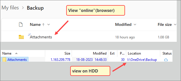 Any workaround as to how to keep track on OneDrive on demand files-snagit-19082023-135257.png