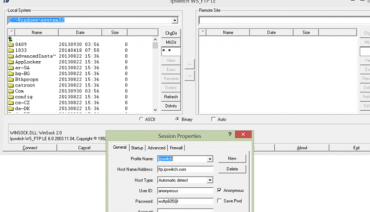 Alternative to Hosting Provider's File Manager Back End-ws_ftp.png