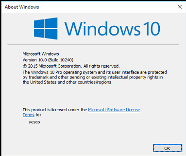 Windows 10 Event ID 10010 and 10016 Errors With DistributedCOM-misty-winver-2.png